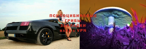 марихуана Белокуриха