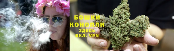 марихуана Белокуриха