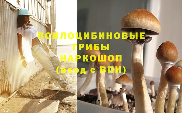 спайс Беломорск