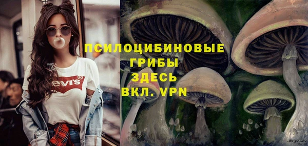 марихуана Белокуриха