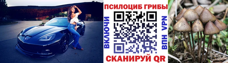 mega вход  Озёрск  Галлюциногенные грибы мицелий  магазин   